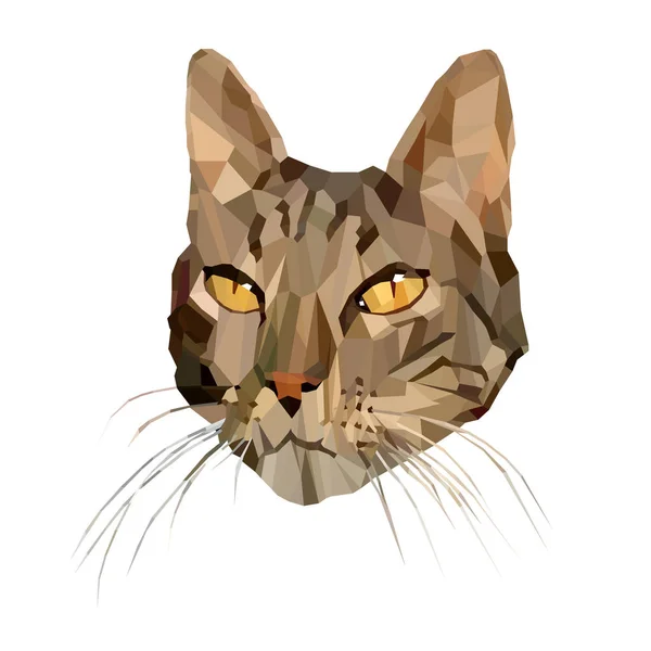 Ilustração Vetorial Gato Baixo Estilo Poli Polygon Abstract Kitten Brown — Vetor de Stock