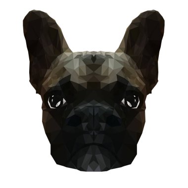 Fransız buldozer düşük poli tarzı vektör Illustration. Çokgen soyut köpek bej ve siyah renkler. Geometrik poligonal köpek siluet