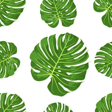 Monstera vektör desen. Çiçek ve botanik sorunsuz. Desen Tekstil, kağıt, vb için