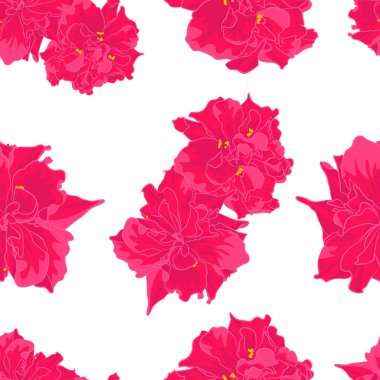 Beyaz arka plan üzerinde pembe çiçek deseni vektör. Tropikal egzotik ağaç sorunsuz. Tekstil, kaplama, kumaş, ambalaj ve etc için çiçek sorunsuz kullanılabilir