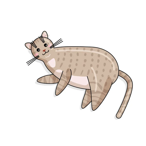 Vector Cat of Australian Mist in Kawaii Style — Stock Vector