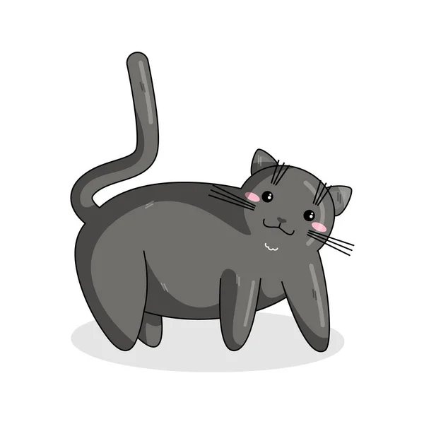 Vector Britânico Shorthair Cat em estilo Kawaii — Vetor de Stock