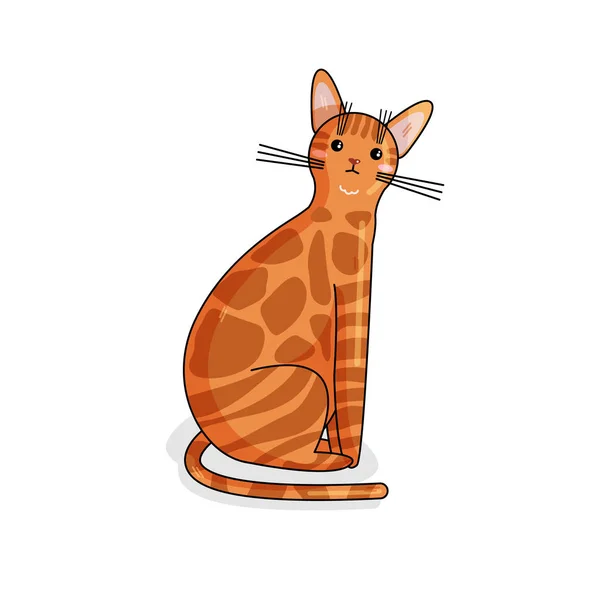 Personagem vetorial do gato anatólico no estilo Kawaii — Vetor de Stock