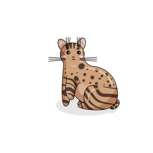 Vektor karaktär av Pixie Bob Cat i Kawaii-stil — Stock vektor