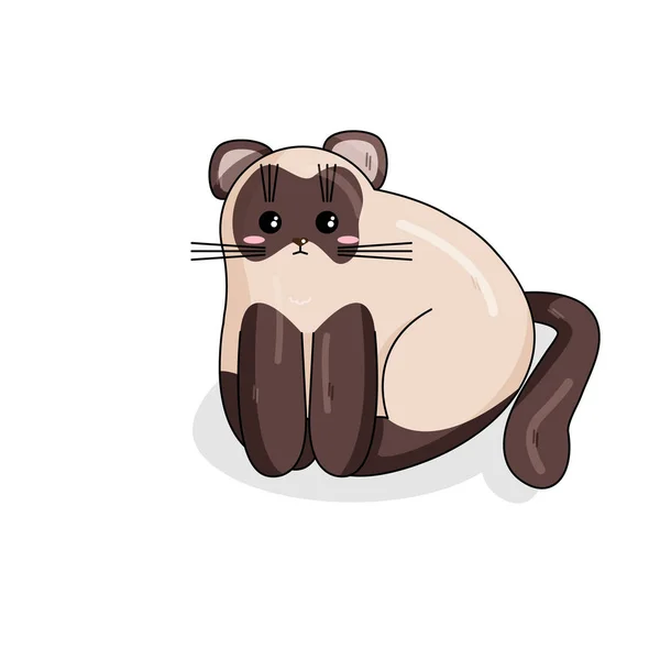 Carácter vectorial del gato del Himalaya en estilo Kawaii — Vector de stock