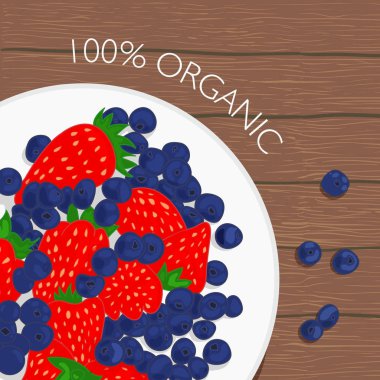 Çilek ve yaban mersini vektör çizimi