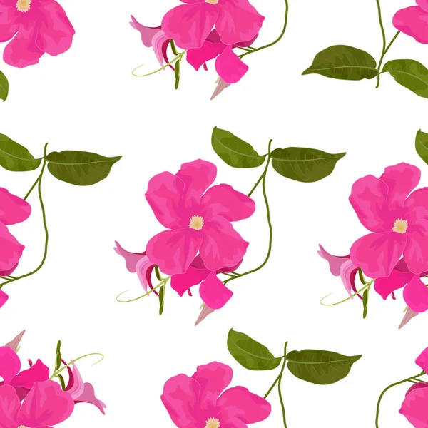 Patrón vectorial de Mandevilla Sanden con hojas — Foto de stock gratis