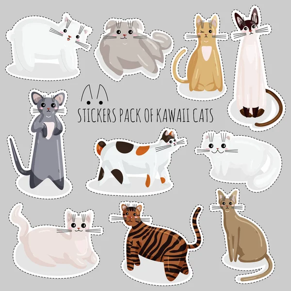 Kawaii Tarzı Kedilerin Çıkartmaları Vektör Seti