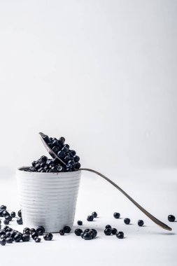 yaban mersini arka plan. yaban mersini dağılmış