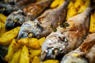 Patates ve yeşil siyah bir arka plan ile pişirme için balık Sparus aurata