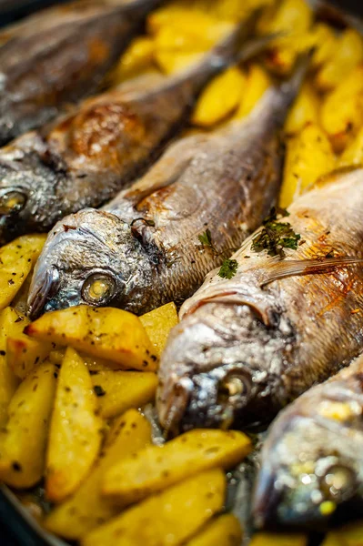 Pesce Sparus aurata per la cottura con patate e verdure — Foto Stock