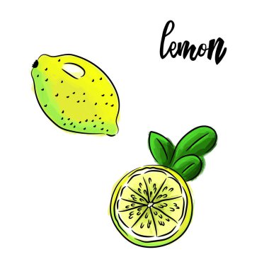 Taze ve göz alıcı grafikler. Tasarımınız için retro tarzı suluboya limon. Menü, broşür, poster, kart tasarımı için kullanılabilir. Vektör illüstrasyonu.