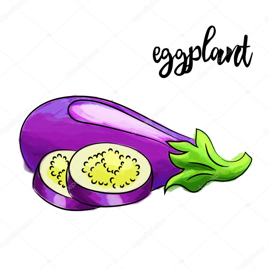 Fresh and eye catching graphics. Watercolor eggplant in retro style for your design. Can be used for the design of menus, booklets, posters, cards. Vector illustration.