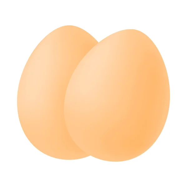 Imagen realista de dos huevos. Ilustración vectorial aislada sobre fondo blanco . — Vector de stock