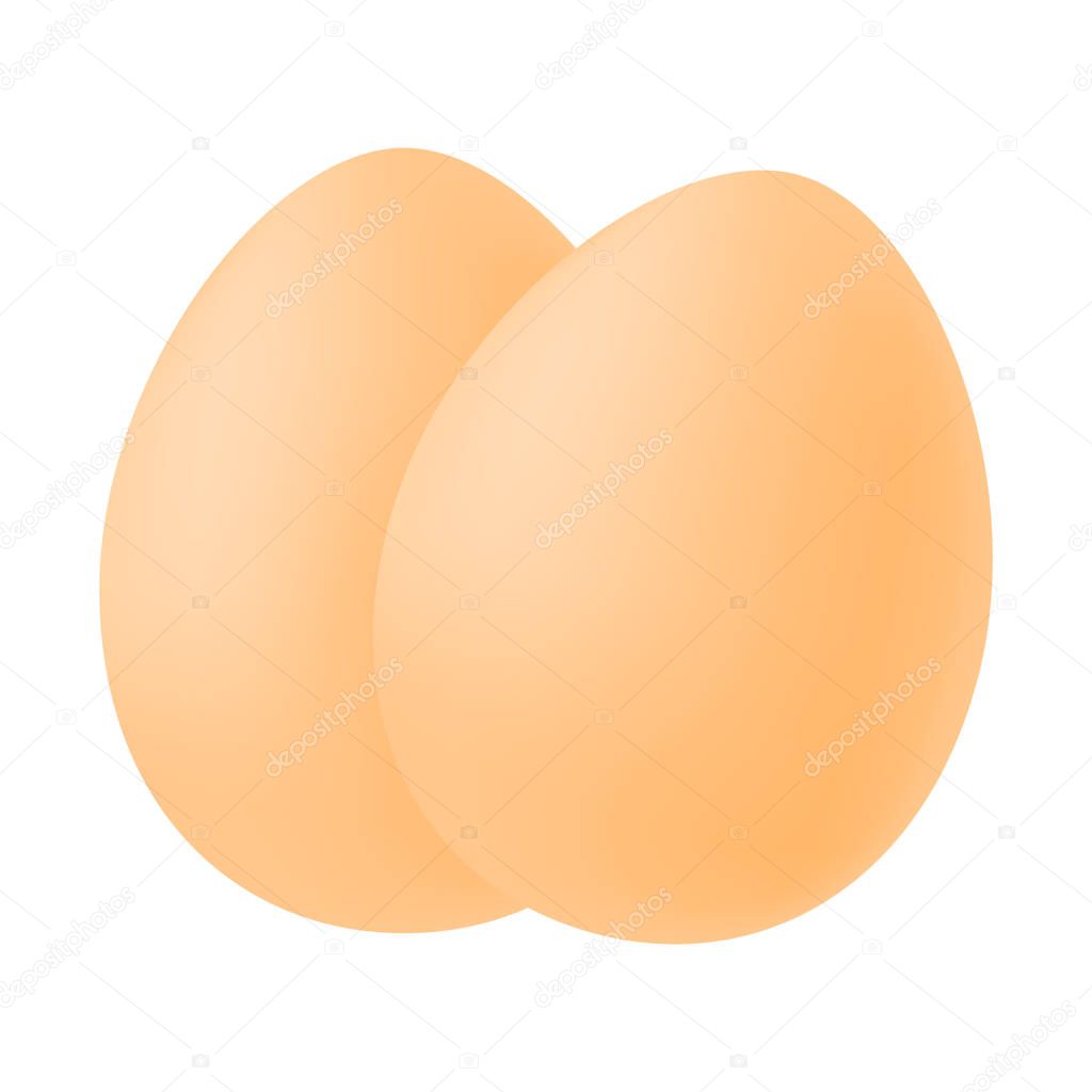 Realistic image of two eggs. Isolated vector illustration on white background