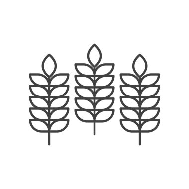 Üç sivri uçlu simge. Buğday kulaklarının basit bir çizgisel görüntüsü. Saf beyaz arkaplanda izole edilmiş bir vektör.