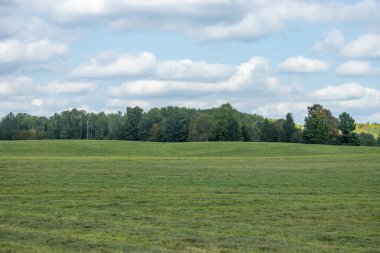 Yazın saman ve mavi gökyüzü
