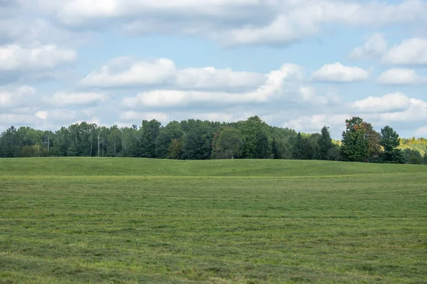 Yazın saman ve mavi gökyüzü
