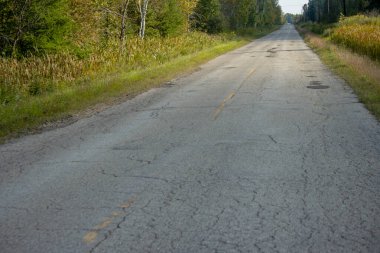 Ormanla çevrili bir yolun dikey görüntüsü.