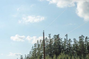 yüksek gerilim elektrik direği