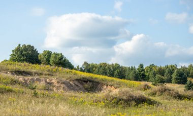 Doğanın güzel manzarası