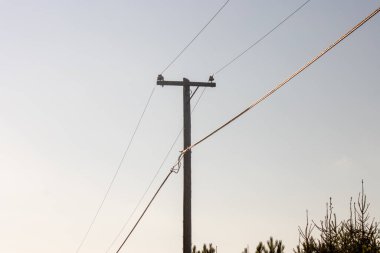 Alanında elektrik direği