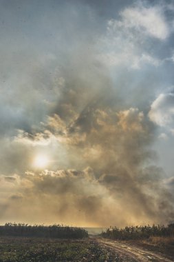 Yanan Mısır alanının dev duman bulutu. Hasattan sonra yanan Mısır alan.