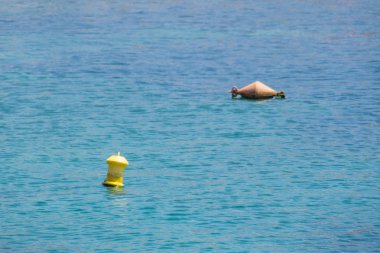 Deniz suyu güneşli günde iki şamandıralar. Okyanus manzarası gün güneşli yaz.