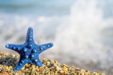 Mavi deniz yıldızı kum plaj üzerinde sabitlenmiş. Arka plan mavi denizi.