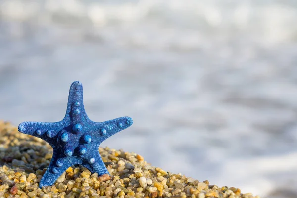 Blue Starfish Pinned Sand Beach Blue Sea Background — Stock Photo, Image