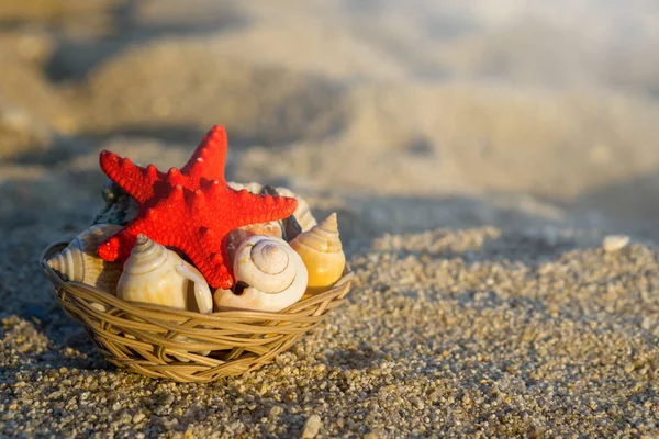 Red starfish and seashells on basket on sand at the beach.