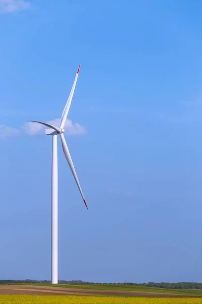 Una Sola Turbina Molino Viento Campo Agrícola Con Cielo Azul — Foto de Stock
