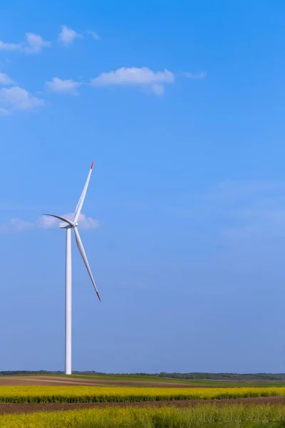 Una Sola Turbina Molino Viento Campo Agrícola Con Cielo Azul — Foto de Stock