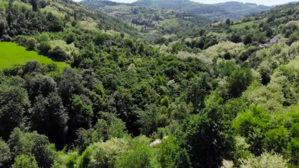 Luftdrohne Über Dem Osteuropäischen Hügelwald Abgeschossen Saftig Grüne Bäume Und — Stockvideo