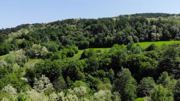 Drone Aereo Sparato Sopra Foresta Collinare Dell Europa Orientale Alberi — Video Stock