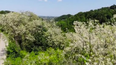 Hava dron ormanıyla çevrili Doğu Avrupa dağ köyü atış. Yaz aylarında yemyeşil yeşil ağaçlar. 4 k (Uhd vurdu).