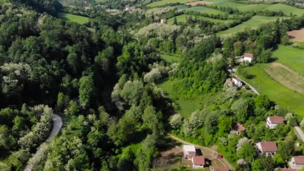 空中ドローンは 森林に囲まれた東ヨーロッパの山の村で撮影 夏の間に緑豊かな緑の木々 Uhd で撮影 — ストック動画