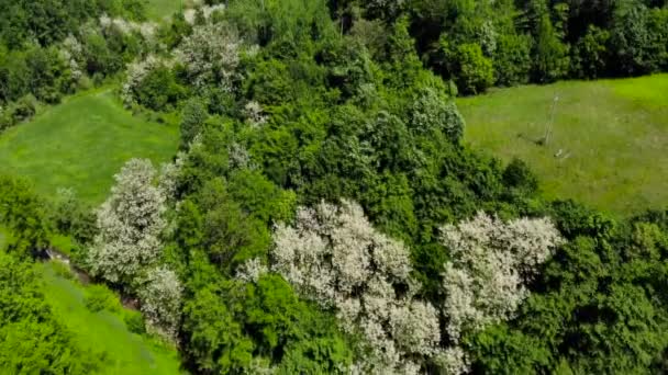 Aereo Drone Girato Sopra Villaggio Montagna Est Europeo Circondato Foresta — Video Stock