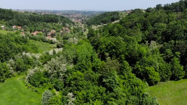 Aereo Drone Girato Sopra Villaggio Montagna Est Europeo Circondato Foresta — Video Stock