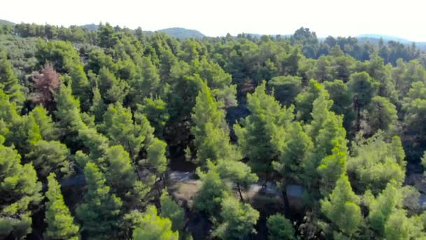Drone Aéreo Disparado Sobre Floresta Com Estrada Tiro Uhd — Vídeo de Stock