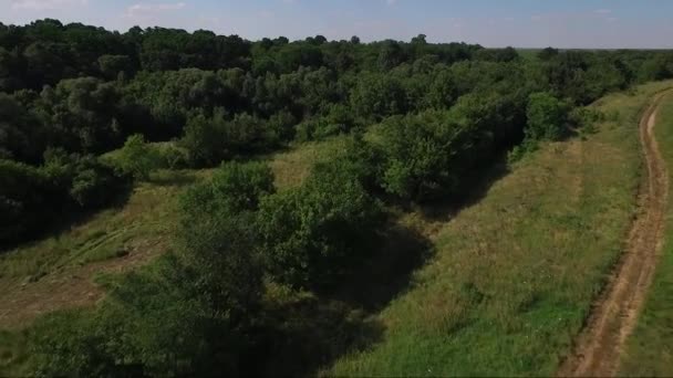 Forêt d'en haut, images aériennes de drone 