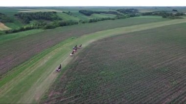 At yarışları, dron havadan görüntüleri