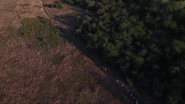 İnsanlar kırsal alanlarda, dron havadan görüntüleri