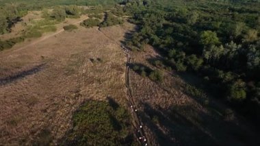İnsanlar kırsal alanlarda, dron havadan görüntüleri