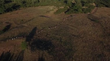 İnsanlar kırsal alanlarda, dron havadan görüntüleri