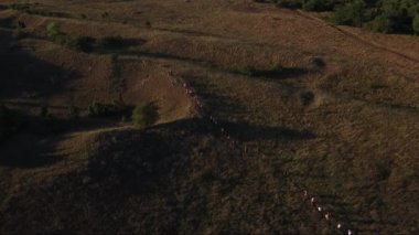 İnsanlar kırsal alanlarda, dron havadan görüntüleri