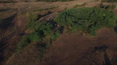 İnsanlar kırsal alanlarda, dron havadan görüntüleri