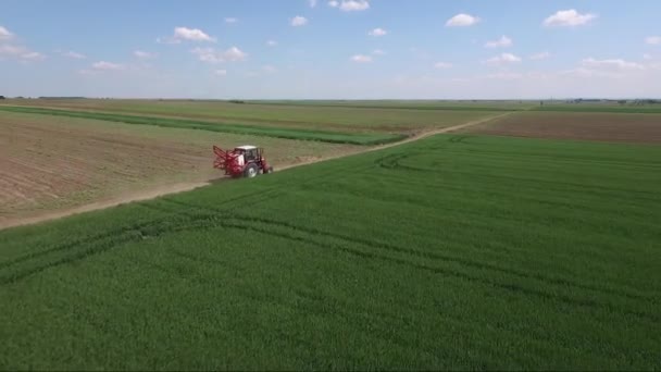 Wheat Field Drone Aerial Image — Stock Video