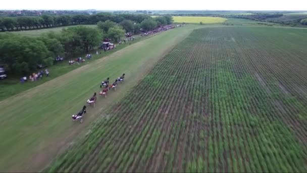 Corrida Cavalos Metragem Aérea Drone — Vídeo de Stock