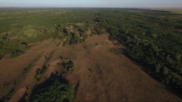 Nsanlar Kırsal Alanlarda Dron Havadan Görüntüleri — Stok video